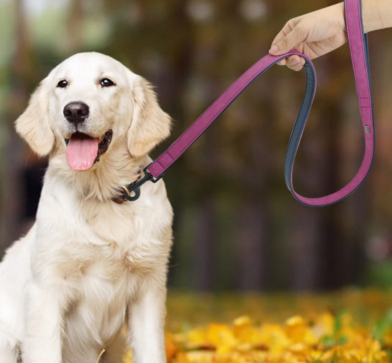 Pull-resistant leather dog leash from My Store, designed for secure everyday walks