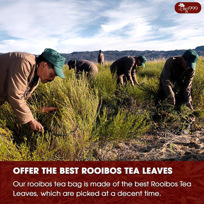 Premium Red Rooibos Tea Bags