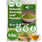 Premium Soursop Leaves Tea Bags