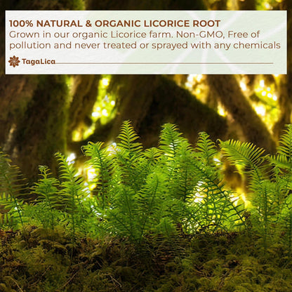 Premium Licorice Root Tea Bags