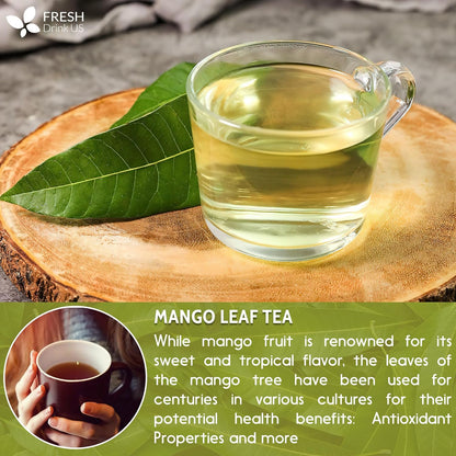 Whole dried mango leaves for herbal tea by FreshDrinkUS, natural and pure mango leaf tea in loose leaf form, caffeine-free and vegan.