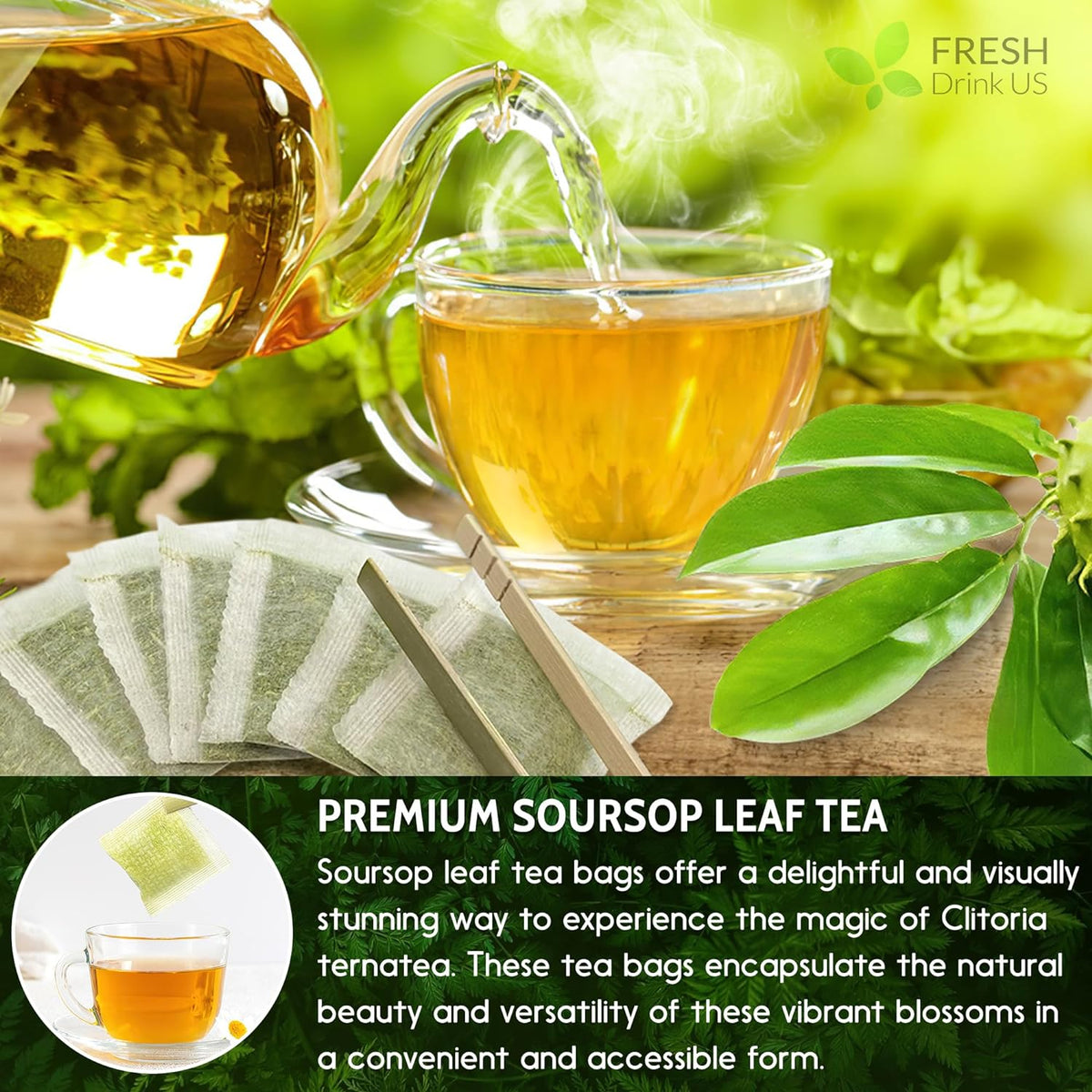 Premium Soursop Graviola Leaf Tea Bags