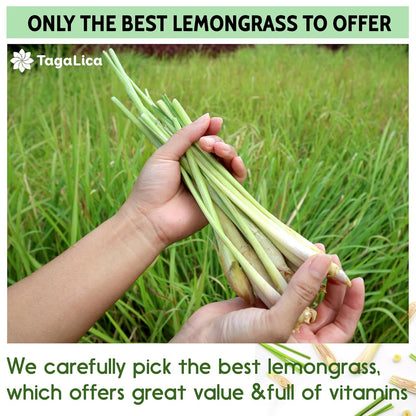 Lemongrass Tea Bags