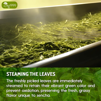 Premium Sencha Green Tea Bags
