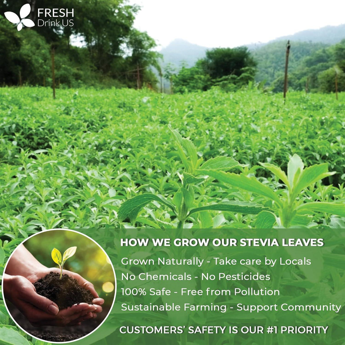 Stevia Leaf, Whole Dried Leaves, Tea Bags, Powder, 100% Natural and Pure from Stevia Leaves. Sugar Substitute for Tea, Coffee. Loose Leaf Stevia Herbal Tea. Zero Calorie Sweetener. No Sugar, No Caffeine, No Gluten, Vegan.