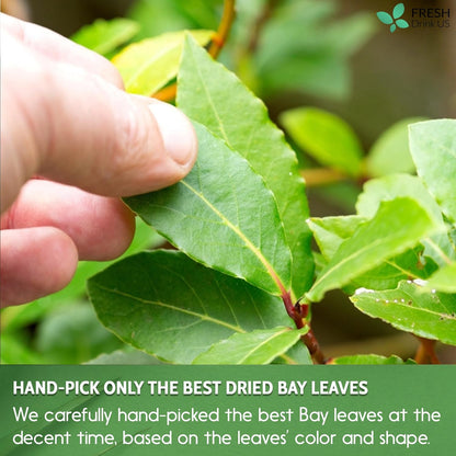 Premium Dried Bay Leaves, Tea Bags, Powder, Bay Leaves Spice, Whole Nice Leaves, Wildcrafted, Fresh Harvested, Bay Leaves For Cooking, Sugar-Free, Gluten Free, Caffeine Free, Vegan