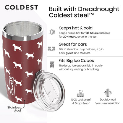 Coldest 20 oz Tumbler v2 hydration bottle with stainless steel body and black lid, designed for keeping drinks cold.