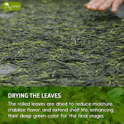 Premium Sencha Green Tea Bags