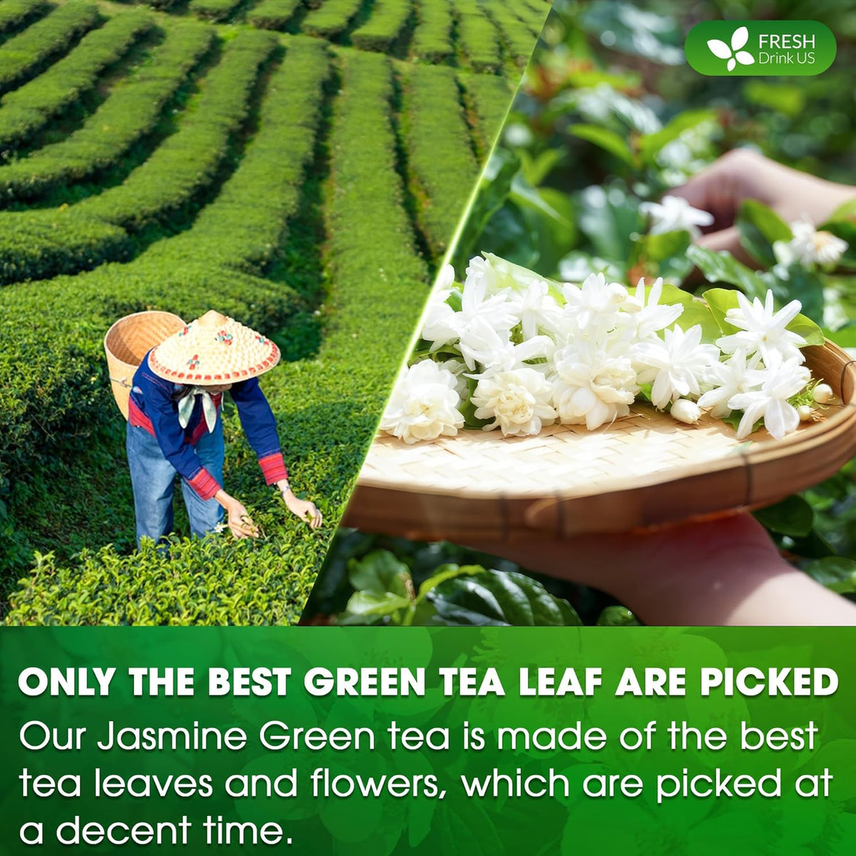 Premium Jasmine Green Tea Bags