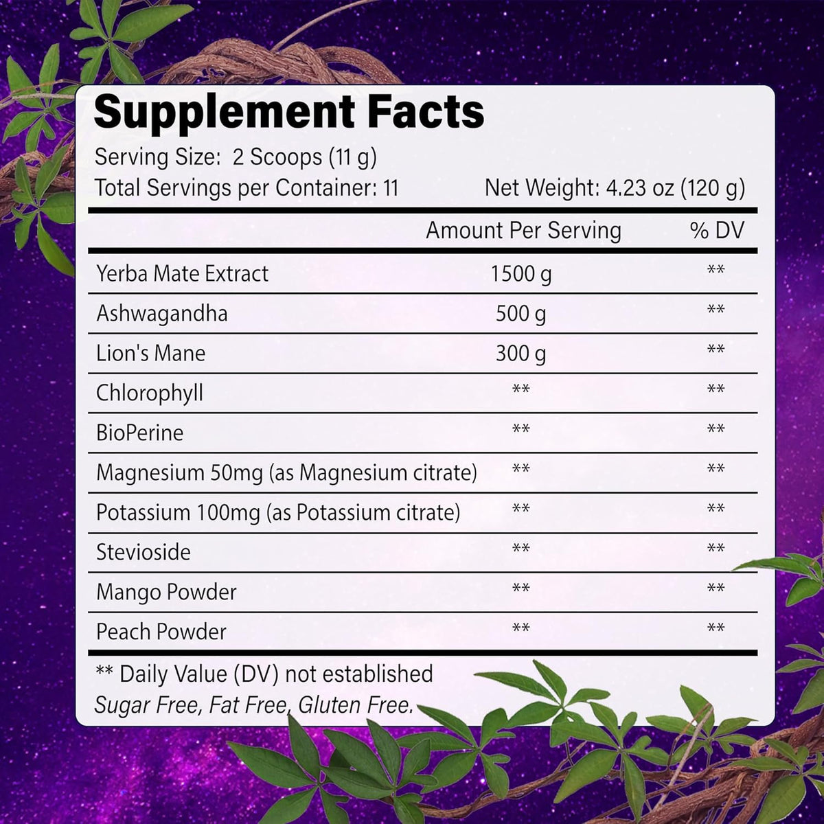 Yerba Mate Instant Tea Powder