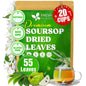 Premium Soursop Leaves Tea Bags