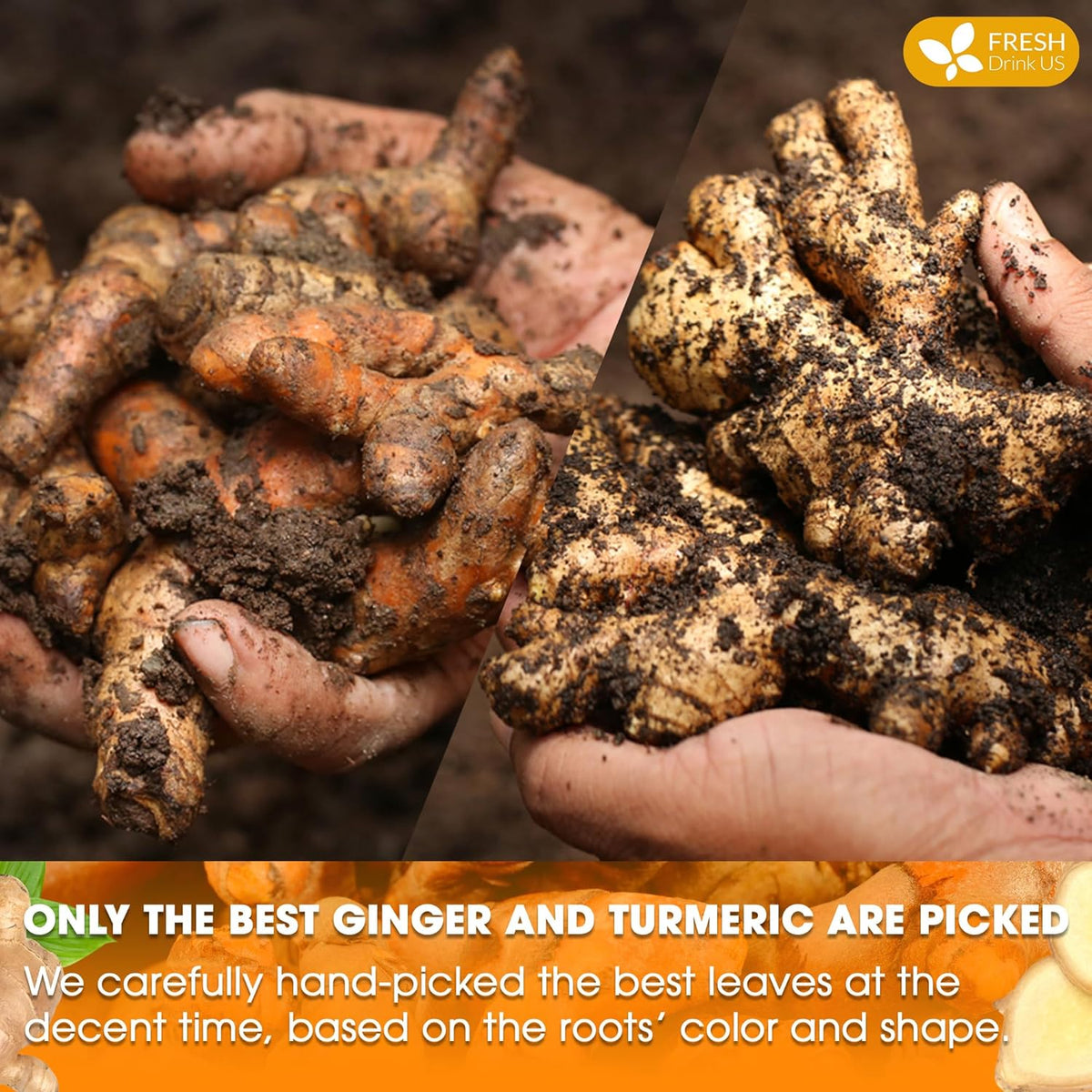 Premium Ginger Turmeric Tea Bags