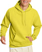 Hanes men's EcoSmart fleece hoodie with drawstring hood, shown in midweight fleece, available in big and tall sizes.