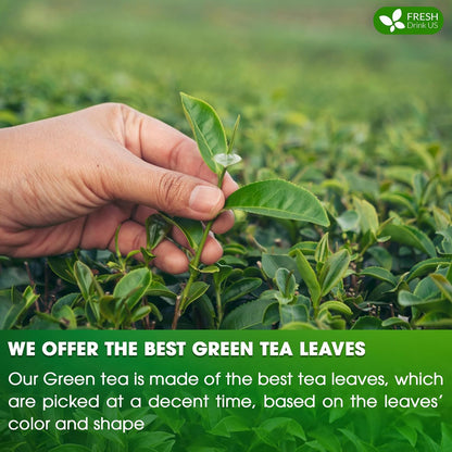 Premium Green Tea Bags