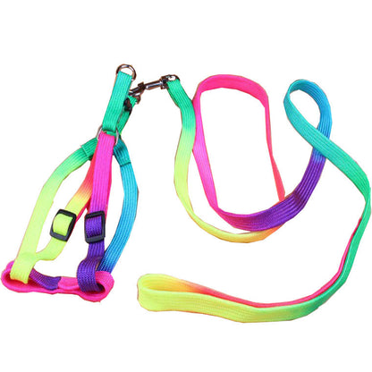 Colorful My Store leashes, assorted bright hues and durable leads for pets