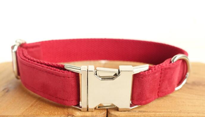 Pet traction collar dog collar by My Store, durable adjustable design for secure dog walking