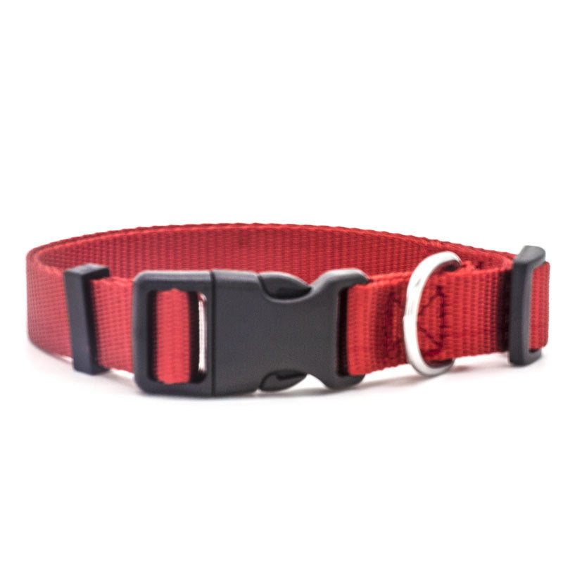 New Pet collar by My Store, adjustable collar shown on a plain background