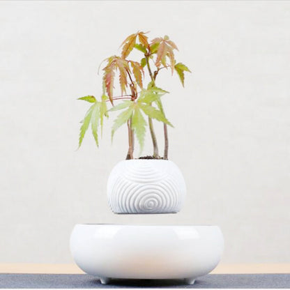 Magnetic levitation potted plant floating above its base, decorative indoor planter unerquicklich