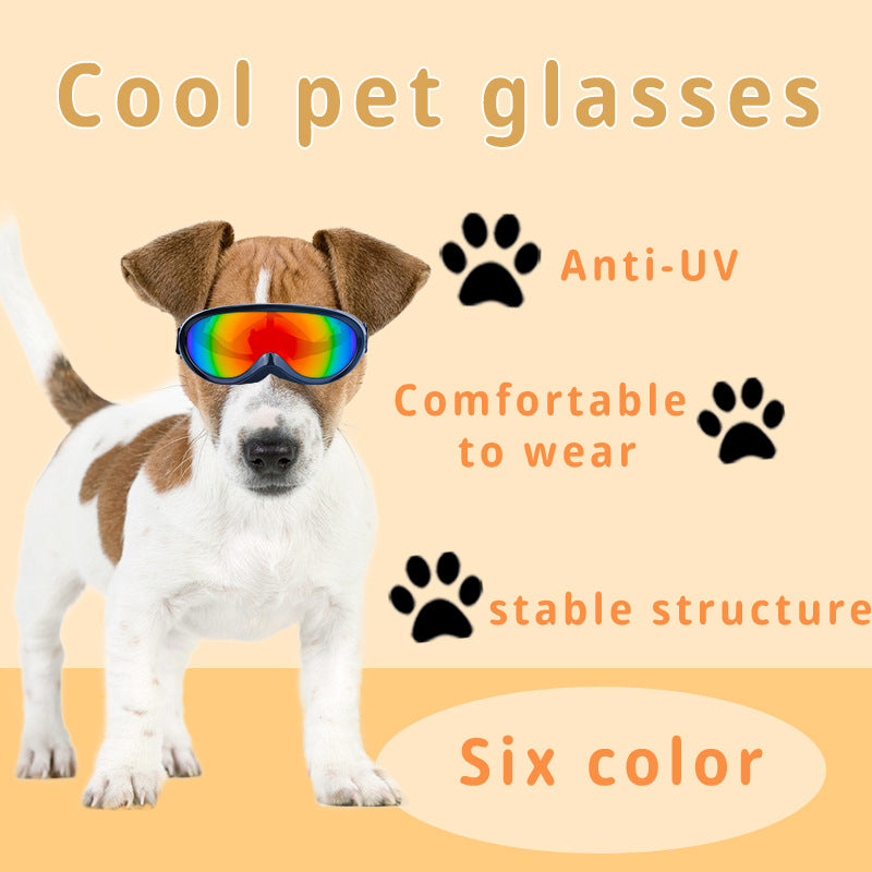 Cat windproof outdoor sunglasses with clear protective lenses and black frame