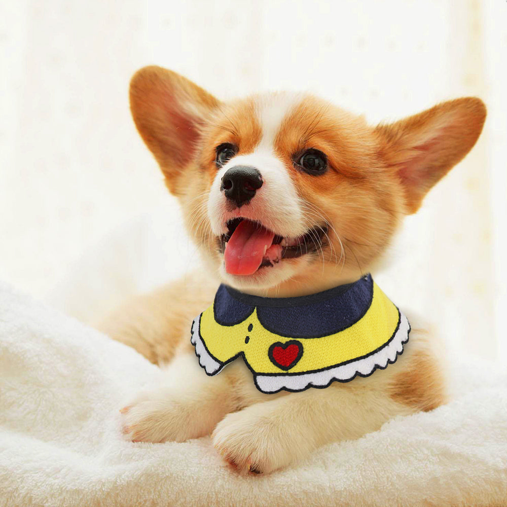Pet collar by My Store in a close-up product view