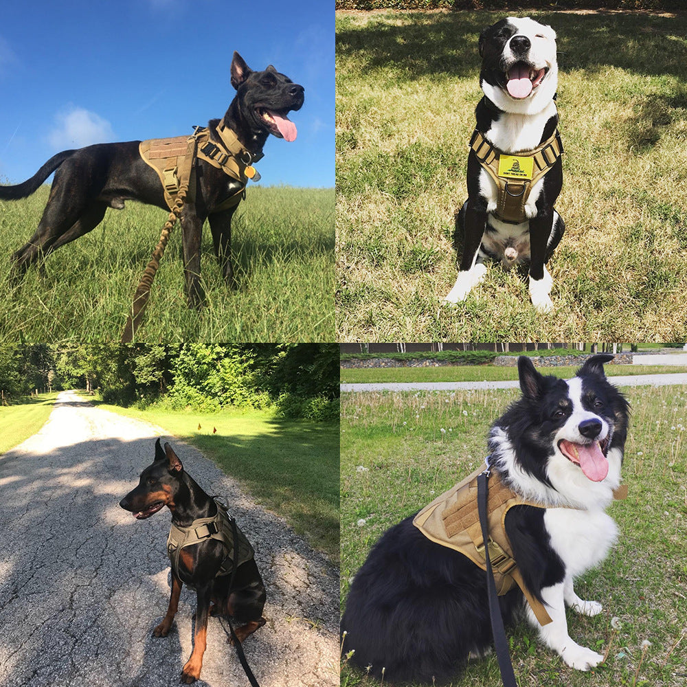Military tactical dog harness for German Shepherd, adjustable pet dog back vest in durable black design