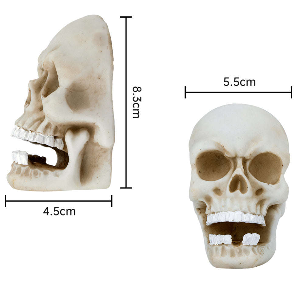 Halloween skull decoration from My Store, featuring a detailed skull design for seasonal display