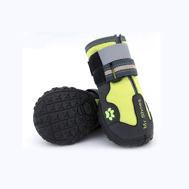 Pet dog wearing waterproof shoes for outdoor protection