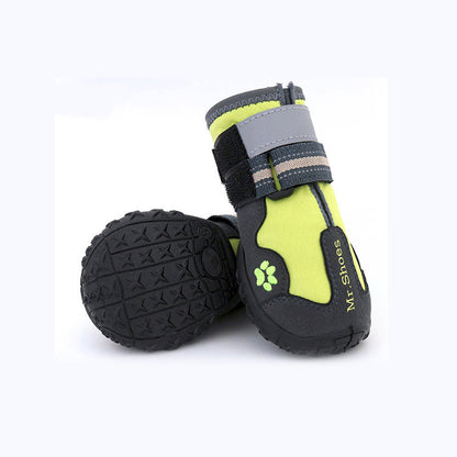 Pet dog wearing waterproof shoes for outdoor protection