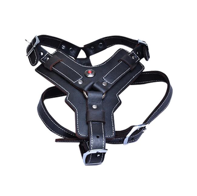 Genuine leather dog harness by My Store in a durable, adjustable design