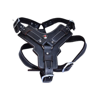 Genuine leather dog harness by My Store in a durable, adjustable design