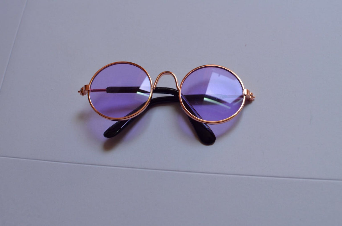 Pet photo glasses featuring a custom pet image design in a playful eyewear frame