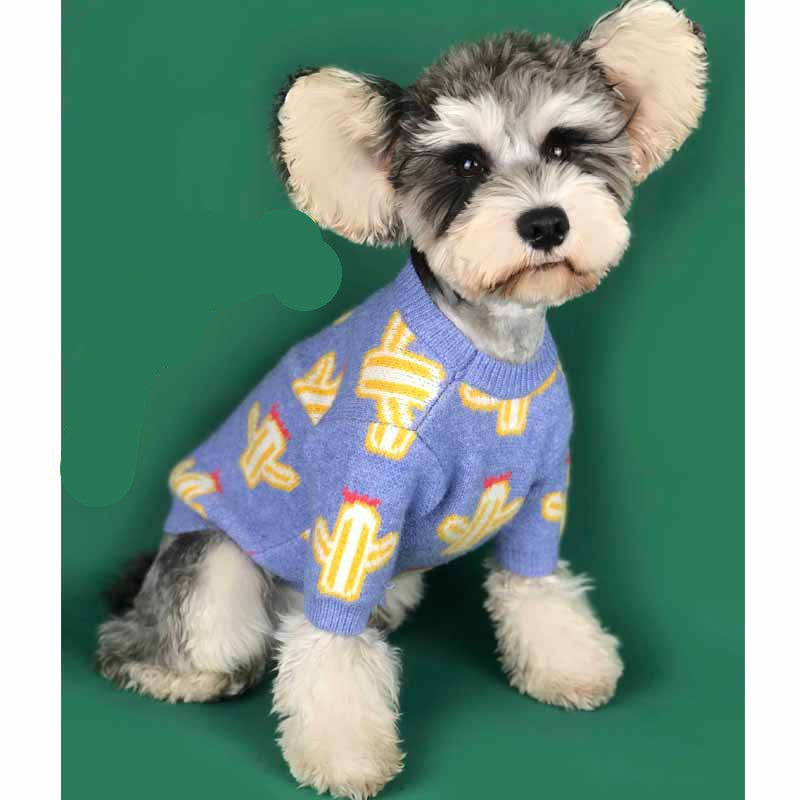 Pet cactus sweater for dogs, featuring a cute cactus pattern on soft fabric