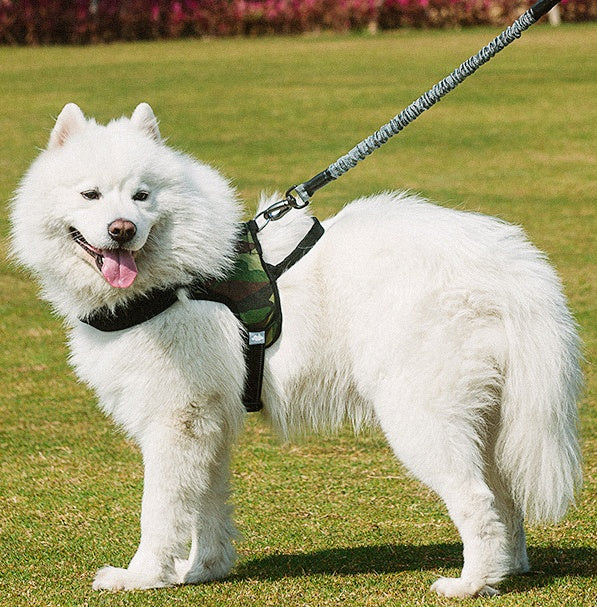 Chest harness dog leash by My Store, adjustable black harness with attached leash for dogs