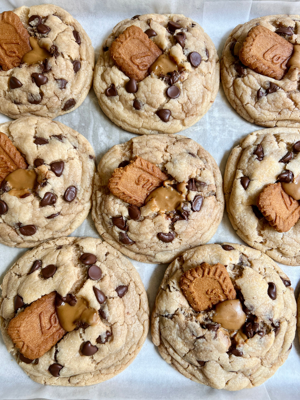 Let's Get Baked Artisan Desserts chocolate chip Biscoff cookies with visible chocolate chips and Biscoff cookie pieces on top.