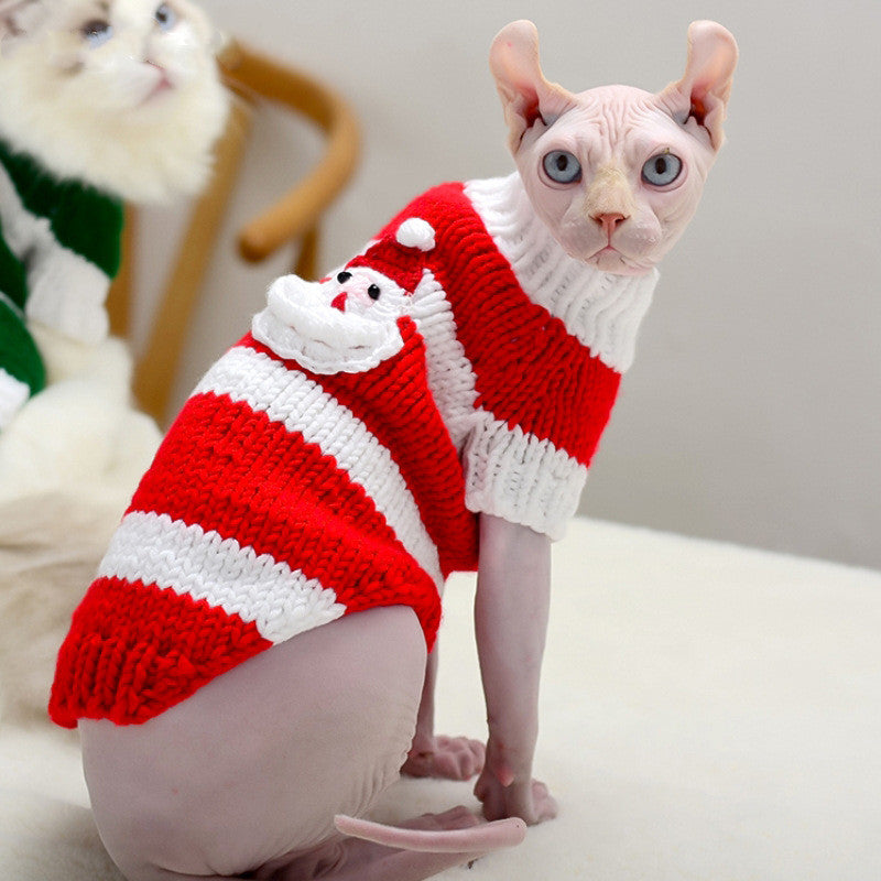 Hairless cat wearing a warm sweater pet cat clothes garment