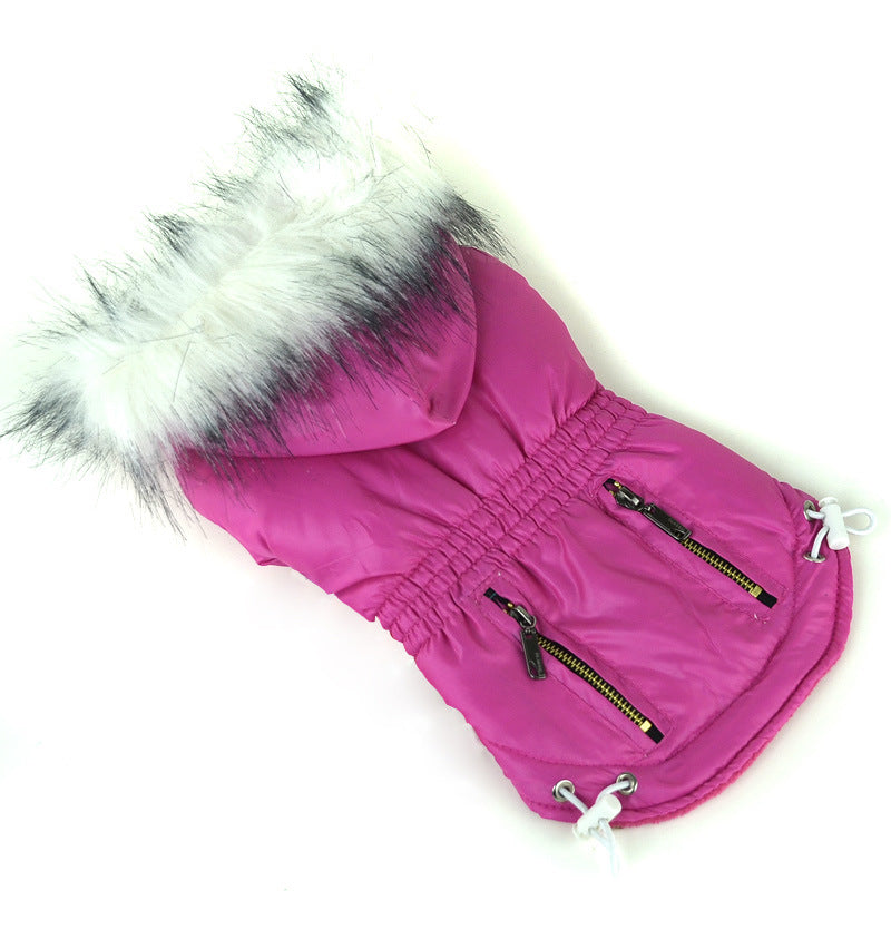 Zippered cotton padded clothes for pets by My Store, shown in a soft protective design