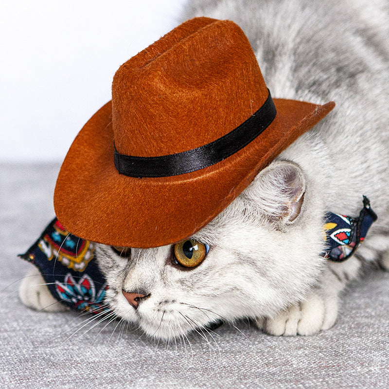 Cat wearing a western straw cowboy hat with a classic brim shape