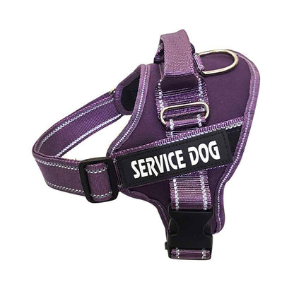 Personalized pet chest strap product by My Store, type 7