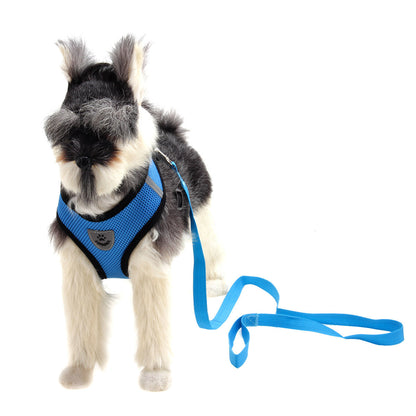 Multicolor high-end dog harness with fashionable design by My Store