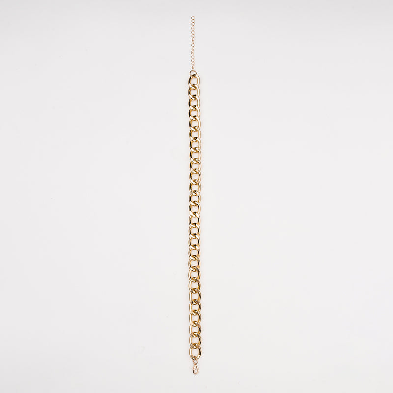 Teddy's Necklace pet accessory for cats and dogs, close-up view