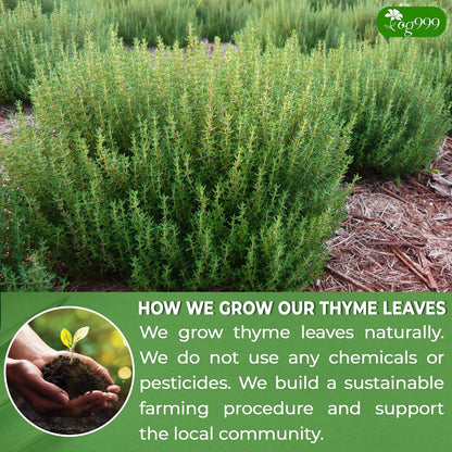 Premium 40 Thyme Leaf Tea Bags, 100% Natural & Pure, Loose Leaf Herbal Tea.