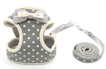 Cat traction rope walking chain for pet walking, close-up view