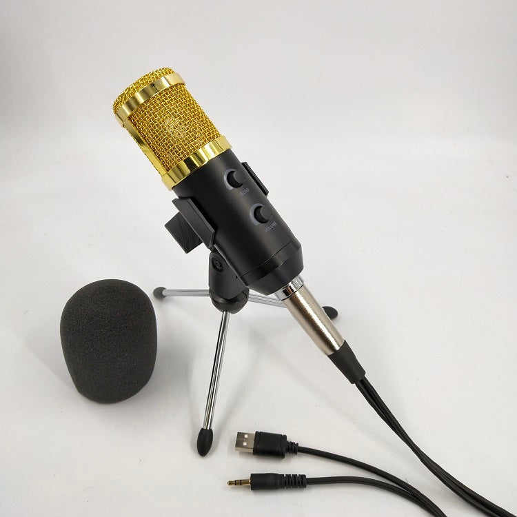Reverb BM800 microphone with black condenser body and adjustable stand setup
