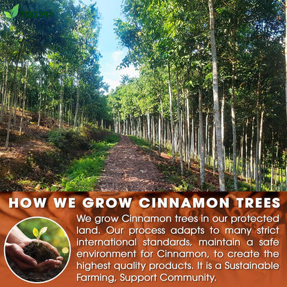 Pure Cinnamon Tea Bags