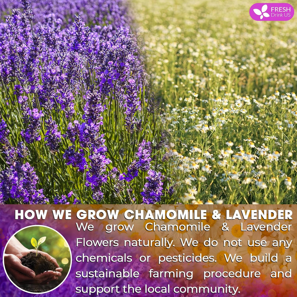 Premium Chamomile Lavender Tea Bags