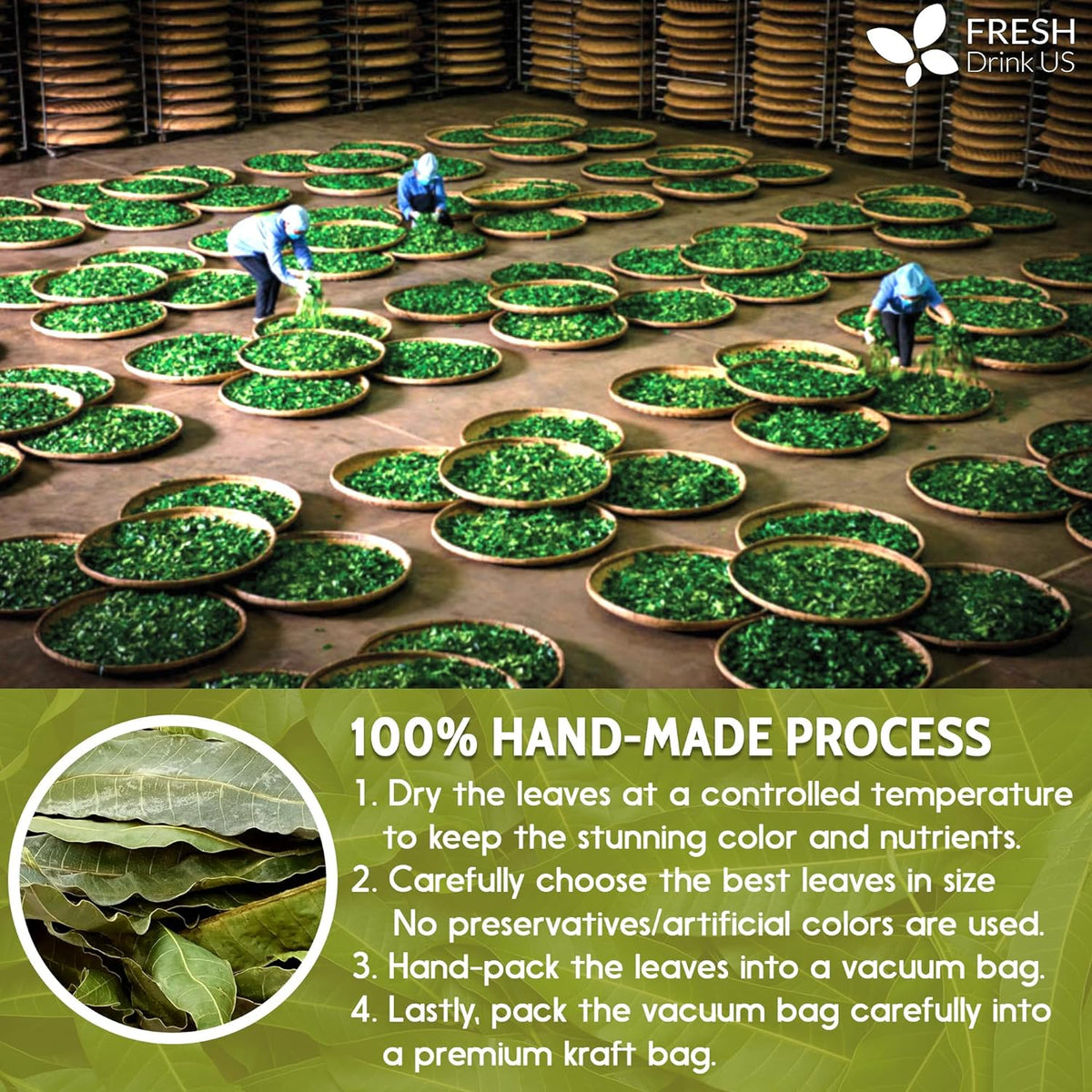 Whole dried mango leaves for herbal tea from FreshDrinkUS, natural, caffeine-free, vegan, and gluten-free mango leaf tea in loose leaf form.