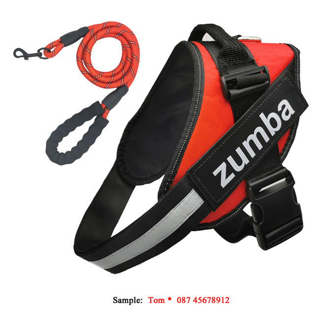 Personalized reflective breathable adjustable dog harness and leash set in Type 7 design