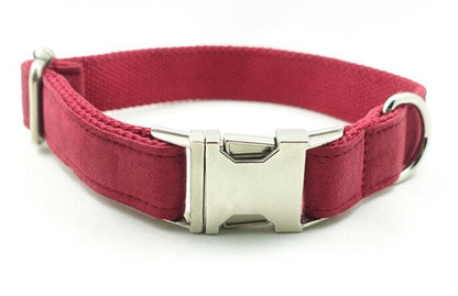 My Store Pet Traction Collar dog collar shown in close-up view