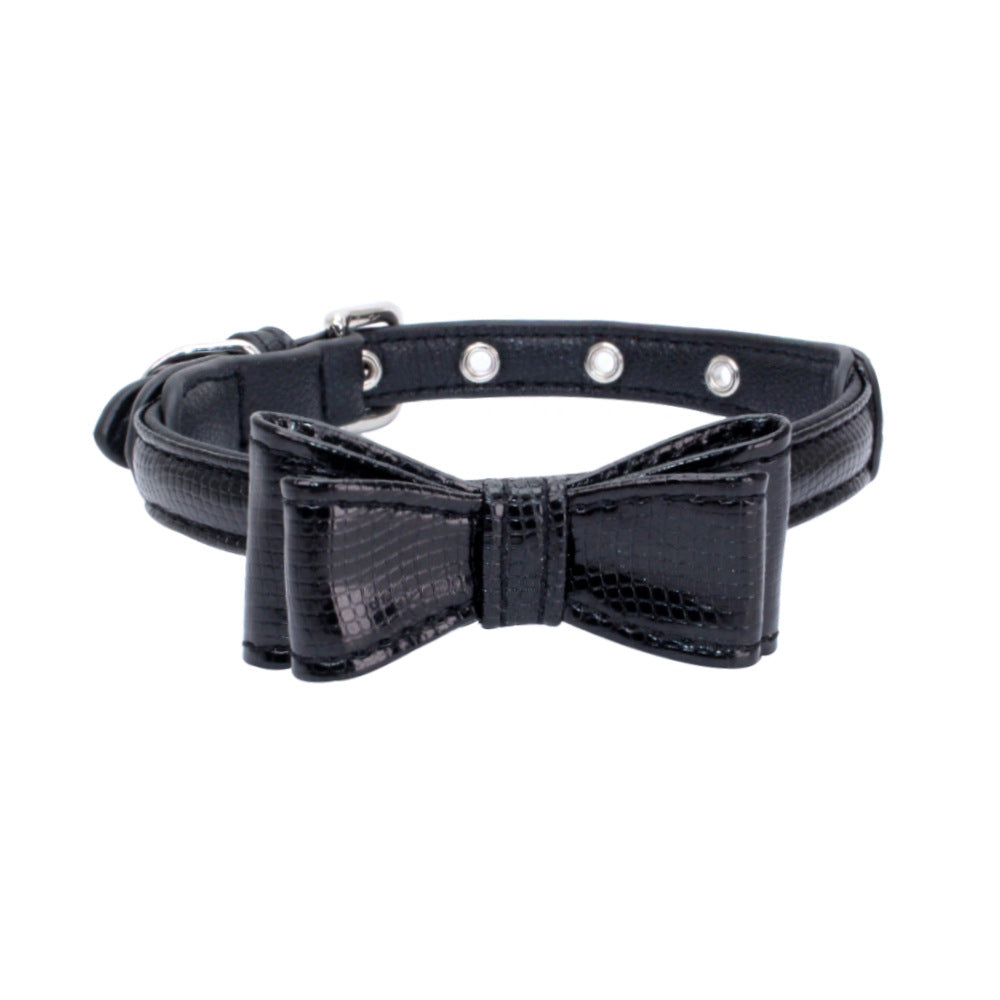 Pet collar by My Store shown in a simple product view