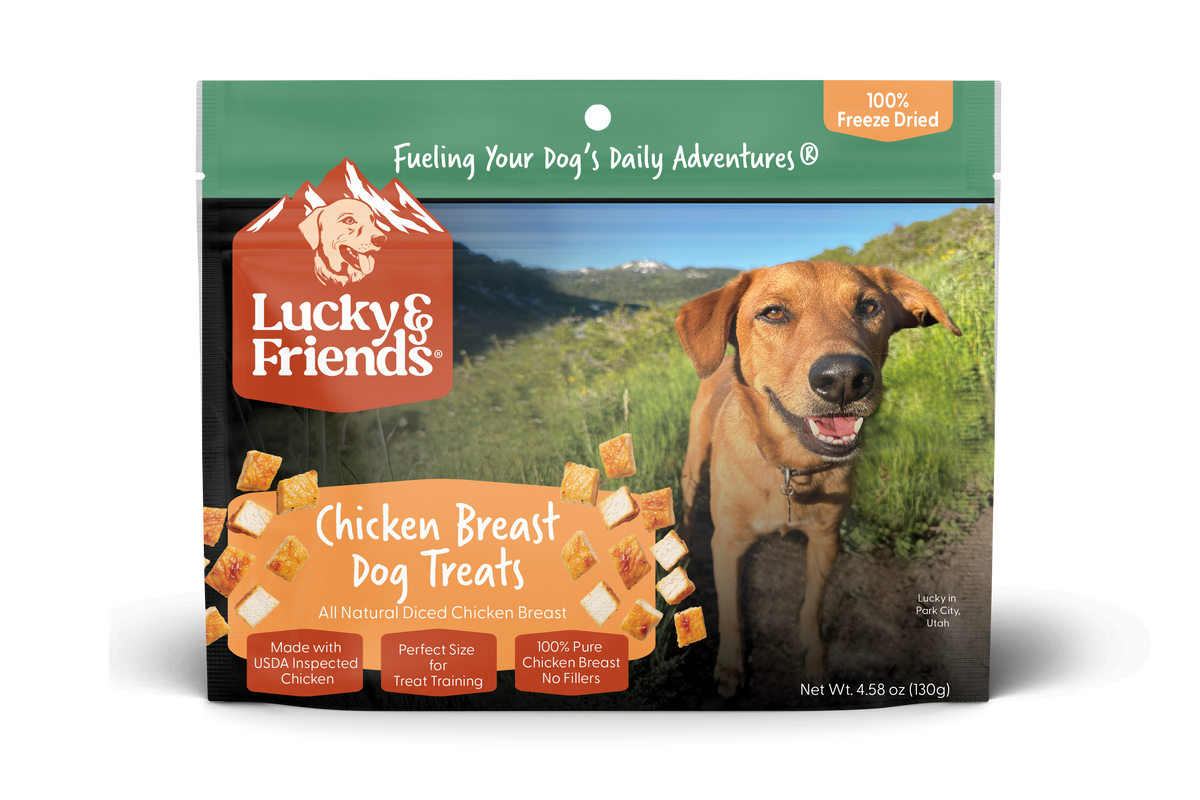 Foundation Outdoors Chicken Breast Dog Treat pouch showing the treat package with a clear label and branding.